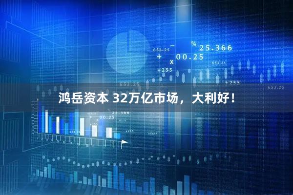 鸿岳资本 32万亿市场，大利好！