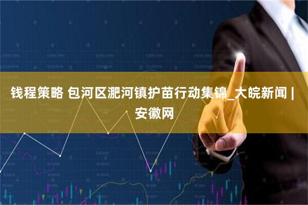 钱程策略 包河区淝河镇护苗行动集锦_大皖新闻 | 安徽网