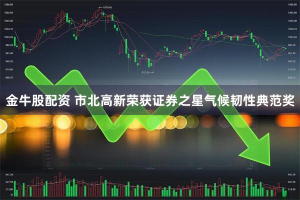 金牛股配资 市北高新荣获证券之星气候韧性典范奖