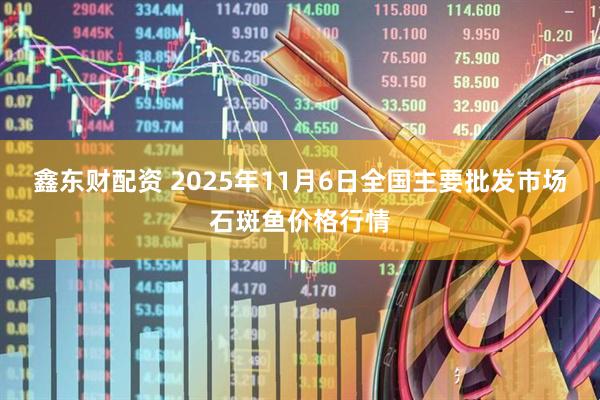鑫东财配资 2025年11月6日全国主要批发市场石斑鱼价格行情