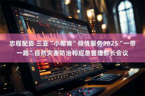 忠程配资 三亚“小椰青”倾情服务2025“一带一路”自然灾害防治和应急管理部长会议