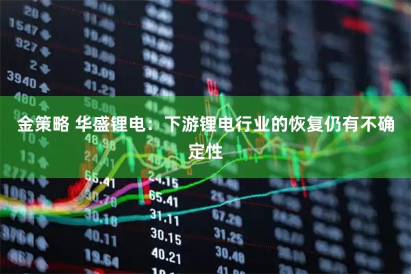 金策略 华盛锂电:下游锂电行业的恢复仍有不确定性