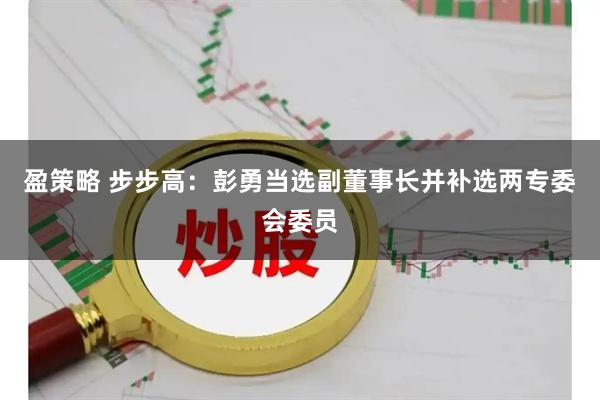 盈策略 步步高:彭勇当选副董事长并补选两专委会委员